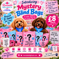 Mystery Blind Bag